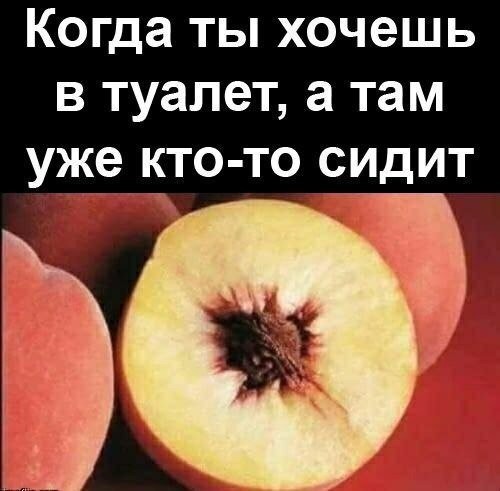 Давайте просто подеградируем над БАЯНАМИ