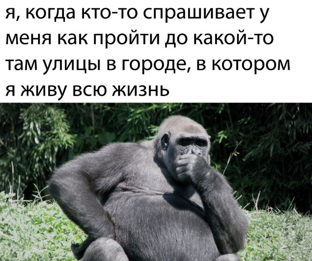 Так себе картинки 25.07.22
