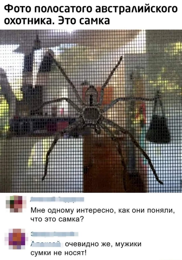 Картинки и мемы для настроения - 23