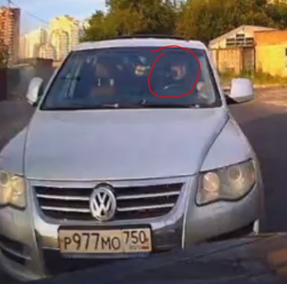 Ушлёпок на туареге