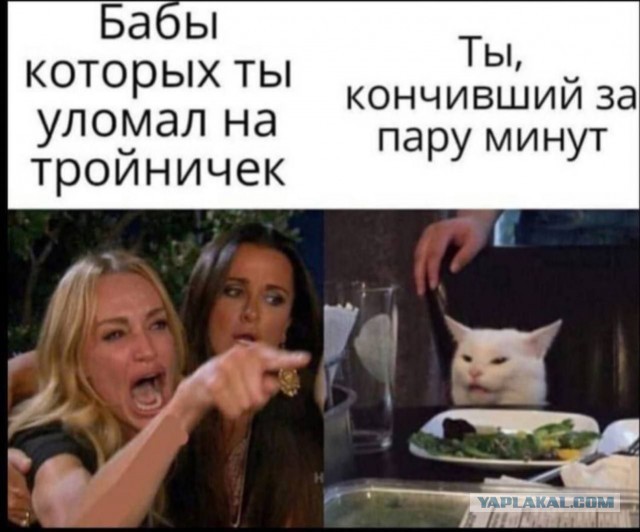 Немного мемчиков. Для взрослых. Часть 17