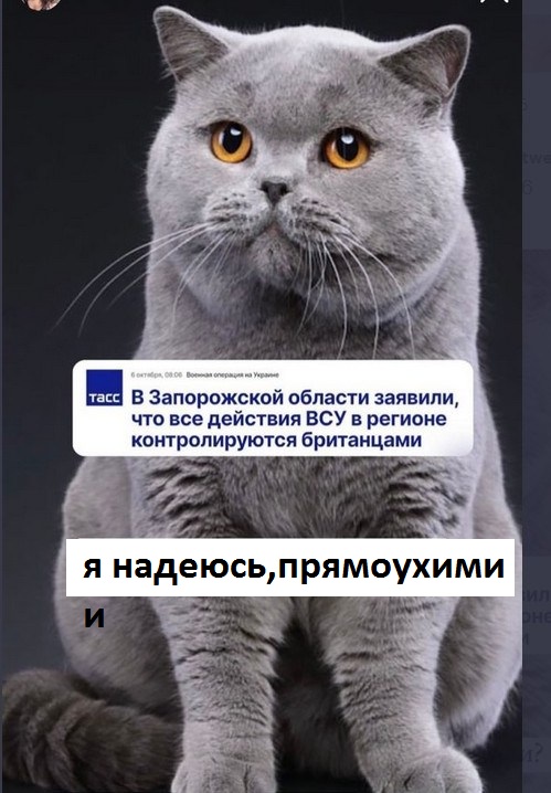 ВСУ перешли в наступление в направлении Новая Каменка – Берислав Херсонской области