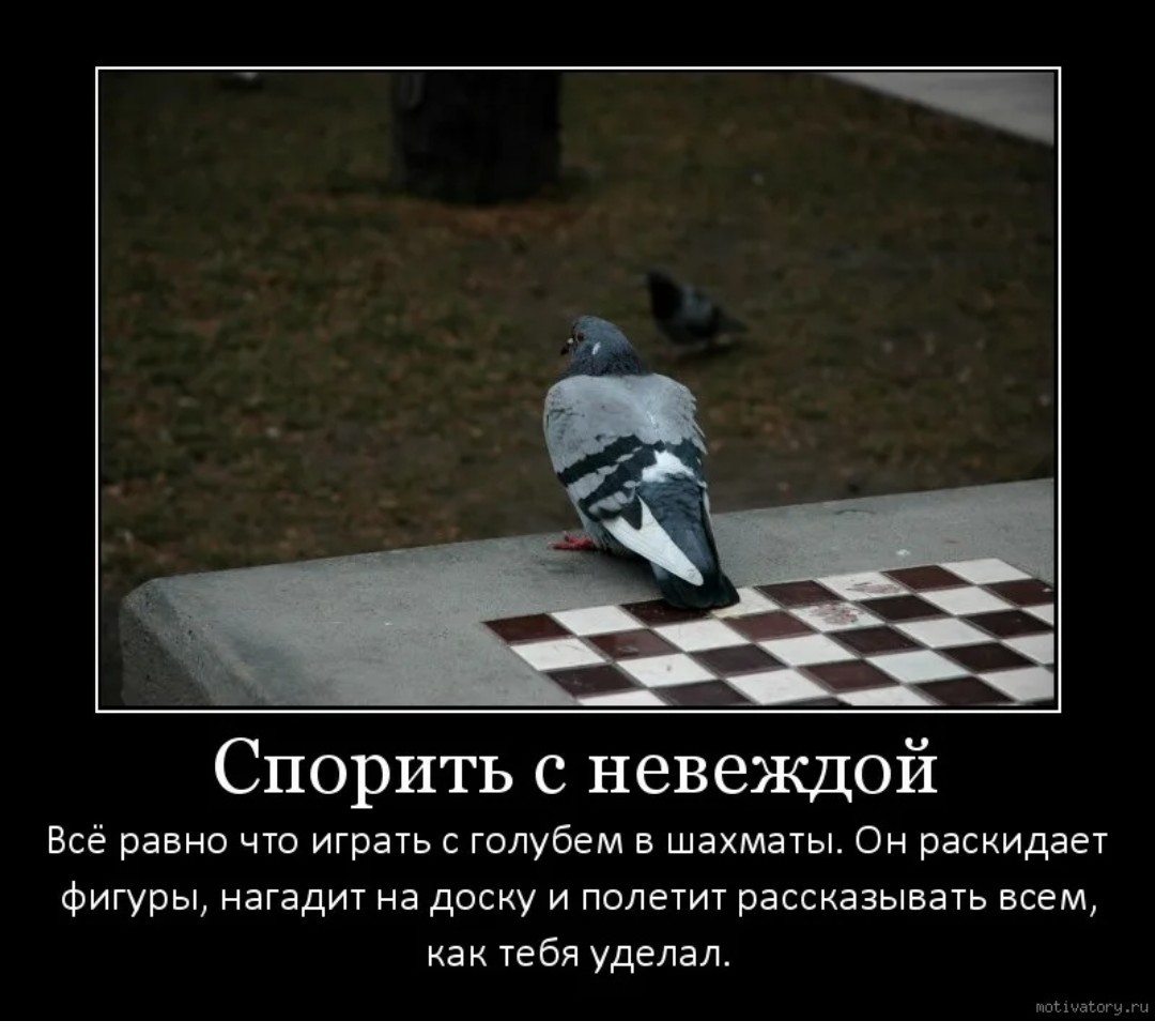 Цитаты великих. Спорить с идиотами цитаты. Если человек перестал с вами спорить. Спорить бесполезно. Спорить с идиотом.