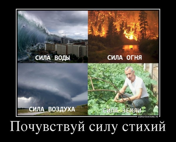 Сила свёклы, мощь гороха