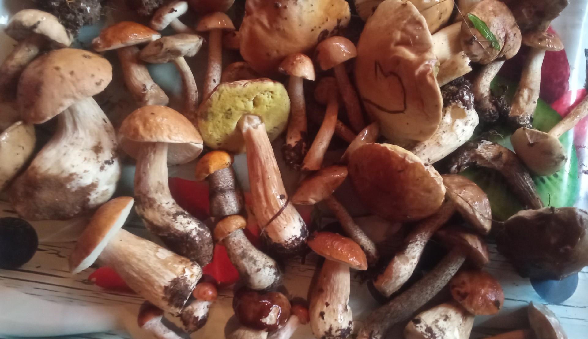 Игры похожие на Mushroom Challenge