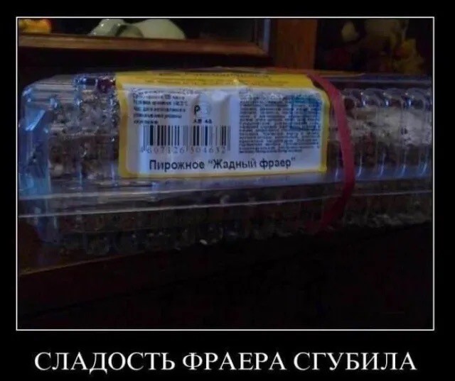 Так себе картинки 17.08.23