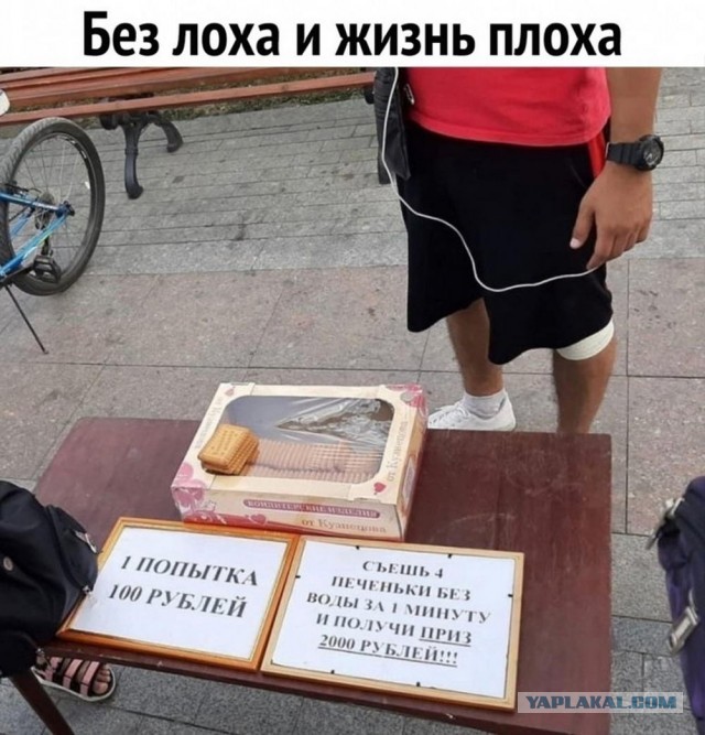 Отряд быстрого деградирования
