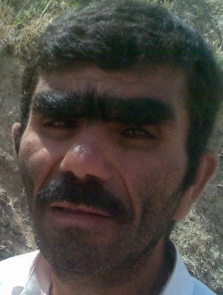 СтопХам 83 Рокки