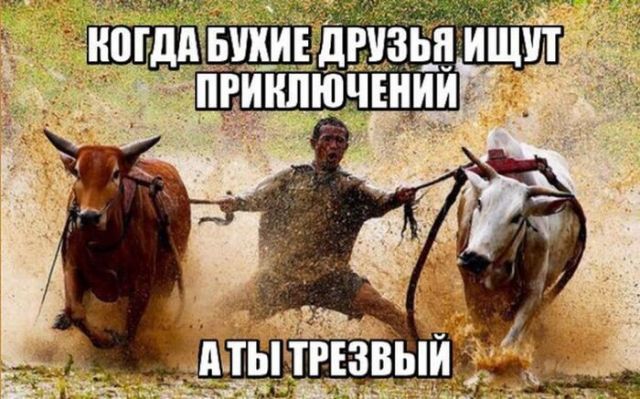 Картинки и буквы 17.06.2024