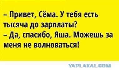 Весёлый полтишок 29.12.24