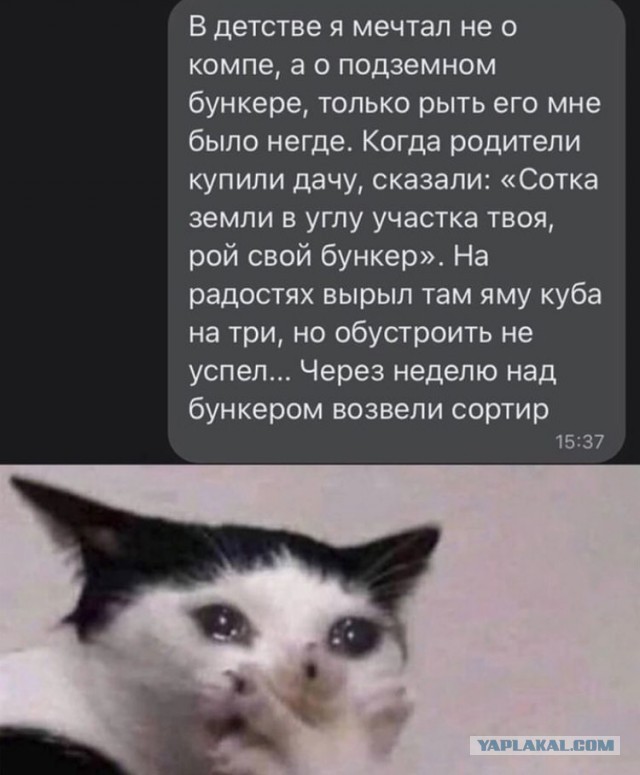 Завалялось тут случайно немного забавных картинок