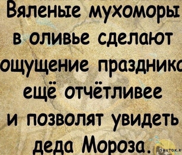 «Красное золото тайги: Дневник собирателя мухоморов»