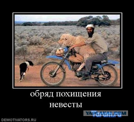 Во Владимире мигрант-исламист ворвался в клинику и порезал врача за то, что тот осмотрел его жену.
