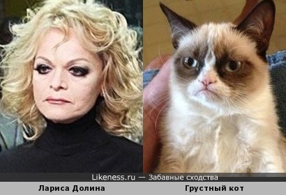 Отказались от концерта Долиной? Вы идете на поводу у ботов