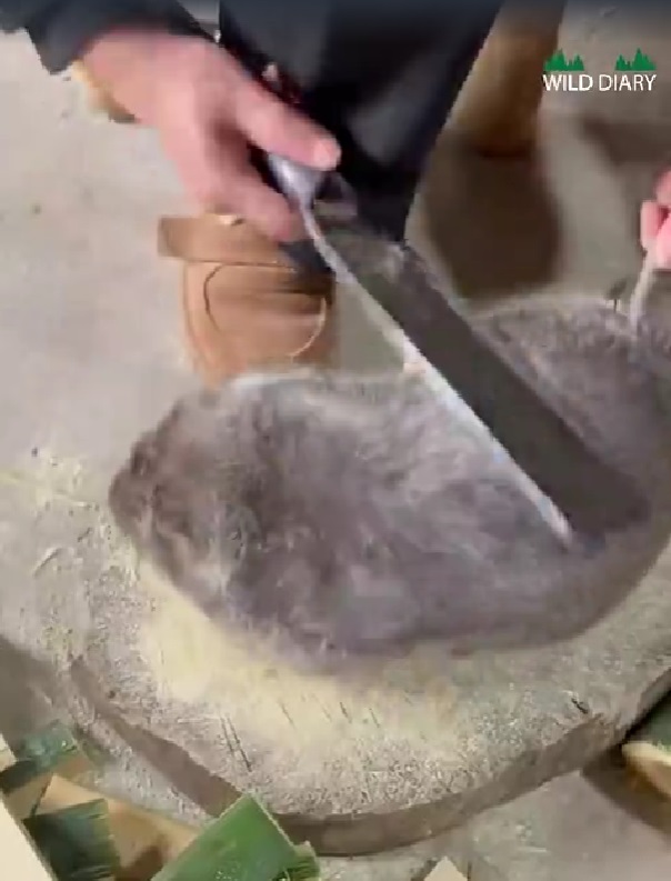 Знакомьтесь — китайская бамбуковая крыса