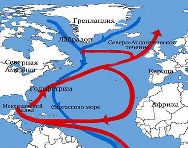 За сколько дней пересекали Атлантику на паруснике в XVIII веке? 