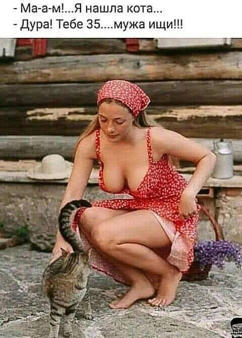 Картинки для деградации 146 (разной степени свежести)