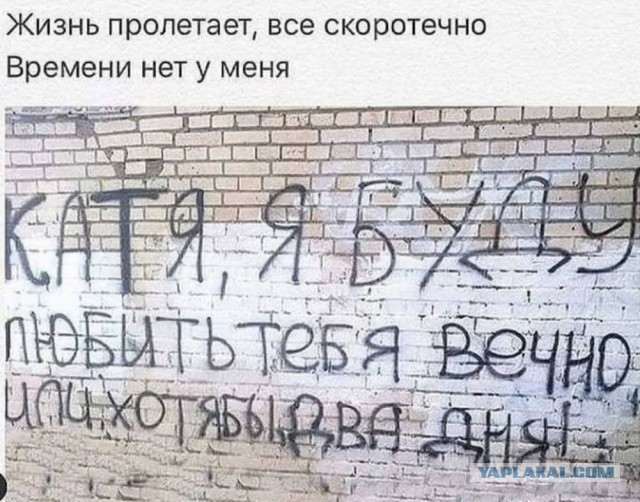 Картинки для деградации 169 (разной степени свежести)