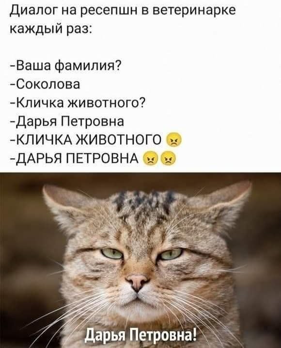 Картинки для деградации 181 (разной степени свежести)