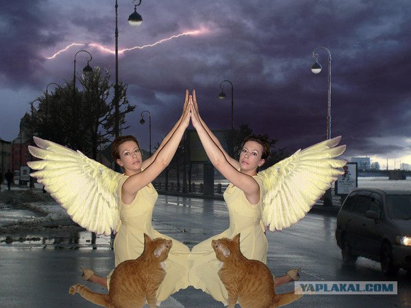Дикие фото из социальных сетей