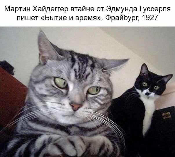 Преисполнился