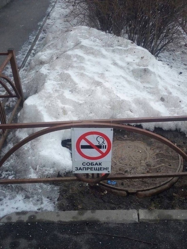 Мемчики
