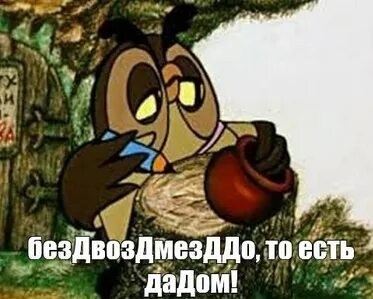 Всем Совам посвящается!
