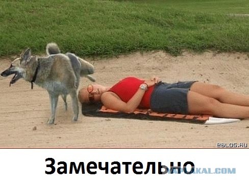 Кто наркоман?