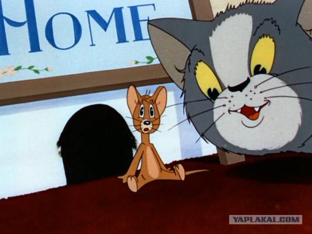 История Tom & Jerry