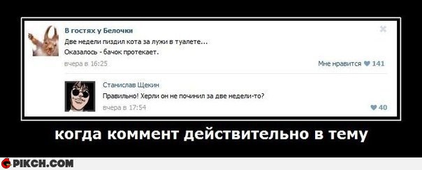 Смешные комментарии из социальных сетей