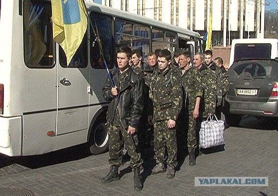 Донецк. Ура  Наши  Снова  Победили!