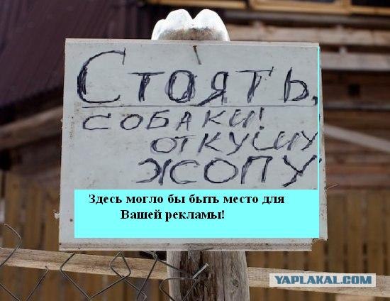 Стоять-бояться