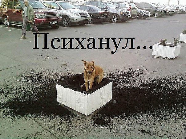 Немного позитива на пятницу.