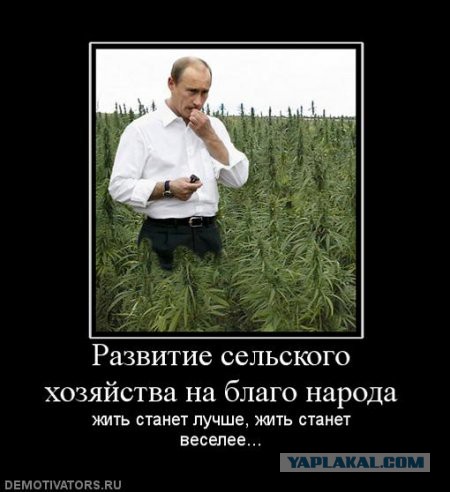 Чёрт, чёрт, чёрт!
