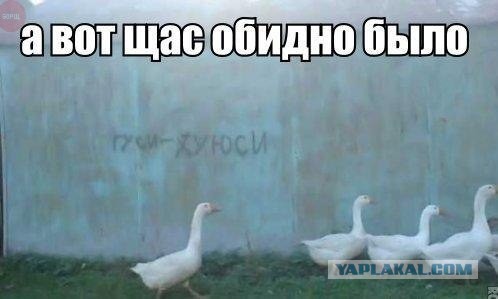 Немного смешных картинок из сети