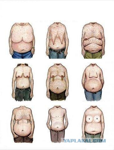 Эволюция восприятия мужчиной женской груди