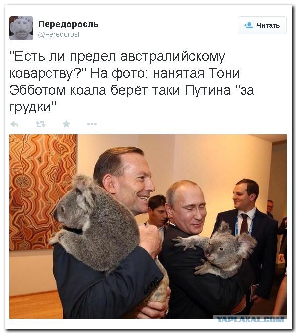 Путин всё же покинул досрочно G20