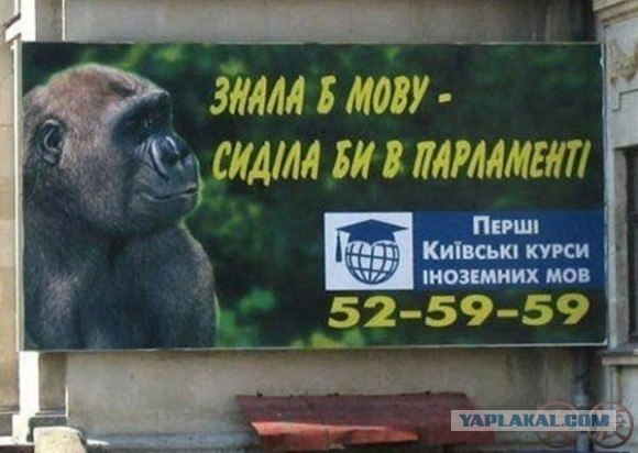 Украинcкий сделает тебя успешным