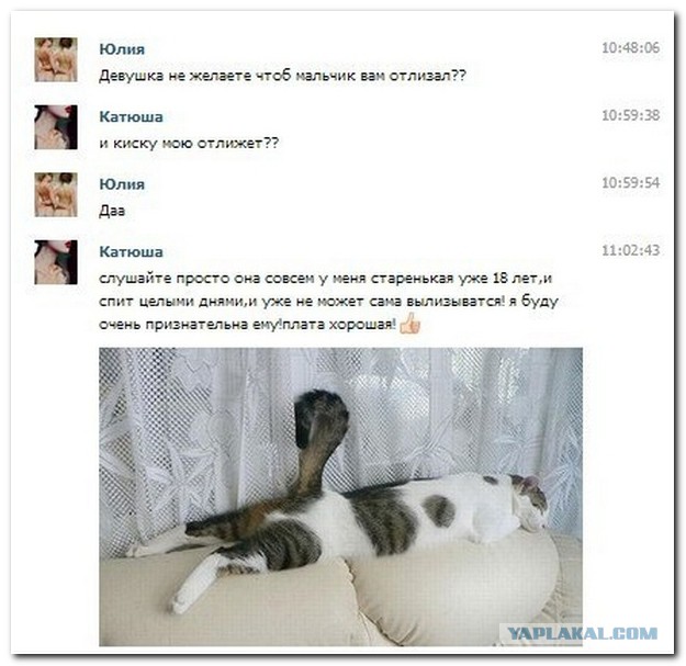 Смешные комментарии из социальных сетей