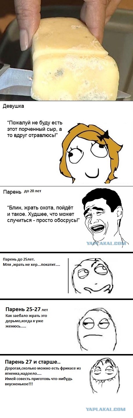 О мужском и женском организмах