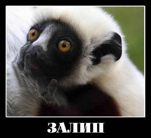 Да здравствует автоматизация.