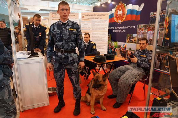В Перми открылась выставка товаров из колоний края