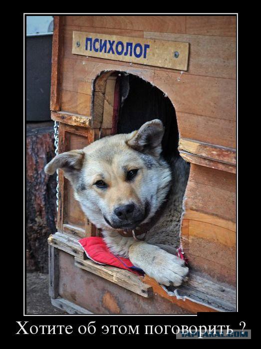 Картинки с буквами 5