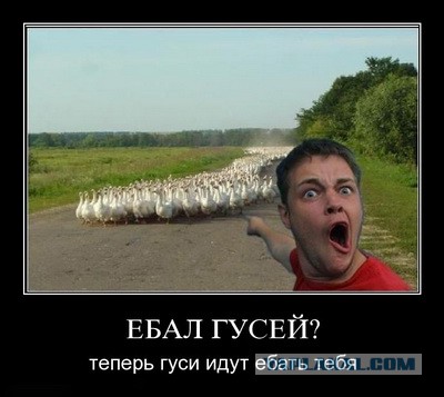 Пришло вот на почту...