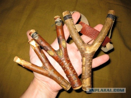 Лучший новогодний подарок для американца