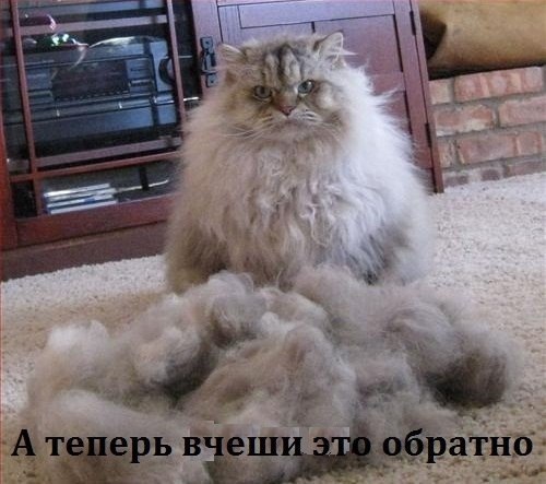 Картинки и демотиваторы