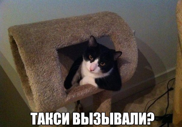 Всяко - разно...картинки
