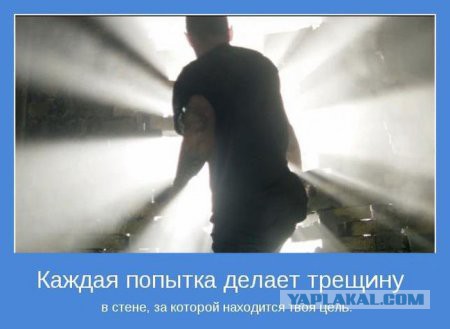 Картинки разные