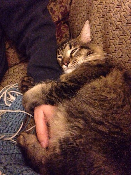 Подборка картинок