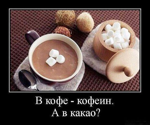 Картинки из сети